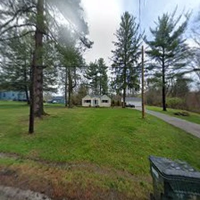 Mueller Tree Services Inc
