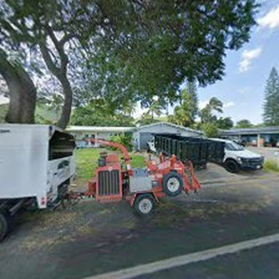 Island Trees Corp