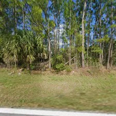 Clavette Tree Service