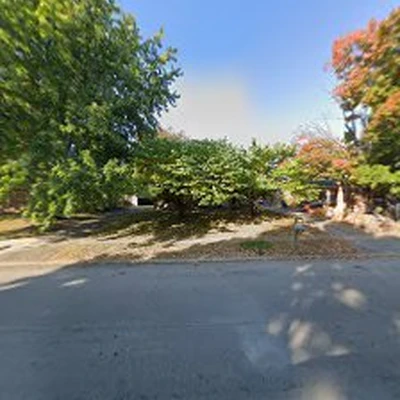 Lexington Tree Service Pros