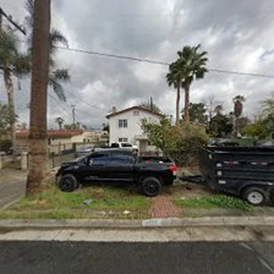 Riverside tree service