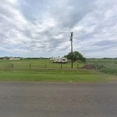 LoneStar Trees