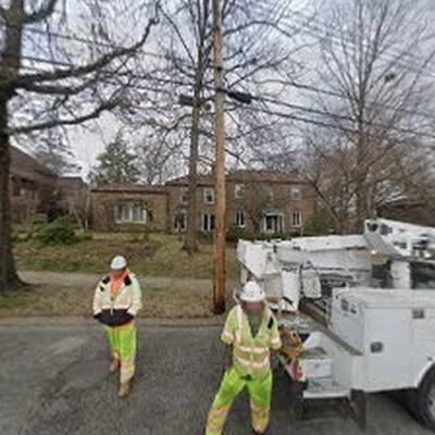 Dean Thomas Tree Service