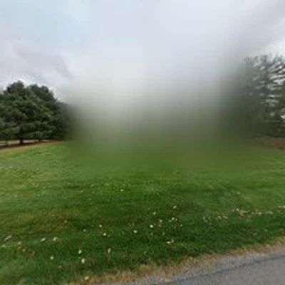 Absolute Arboriculture LLC