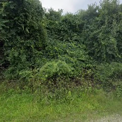 Crusader Tree Service, LLC