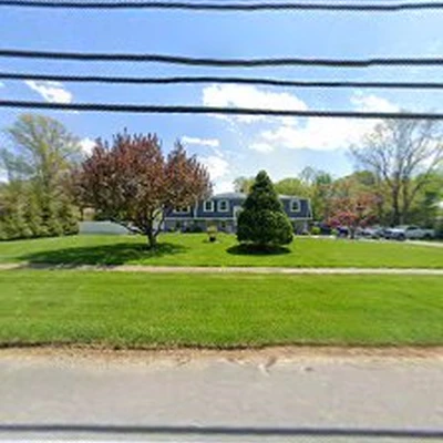 High Class Tree Service