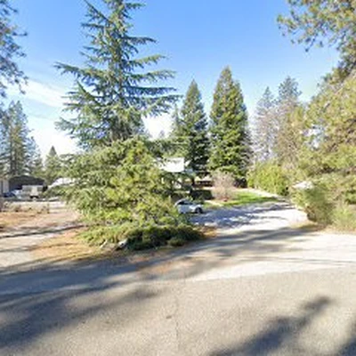 Tree Safe