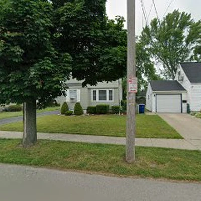 Evergreen Tree Care