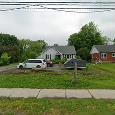 Paul's Tree And Stump Removal