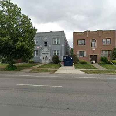 Urban Canopy Tree Experts