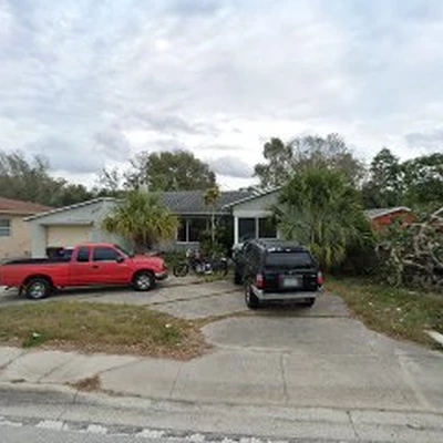 Expert Tree Services of Clearwater