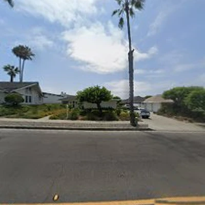 North County Tree
