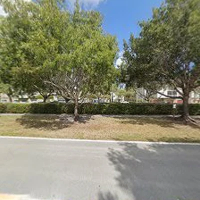 Geometree Tree service