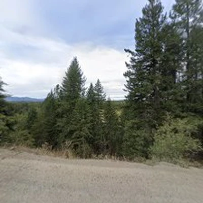 Select Cut Tree Services