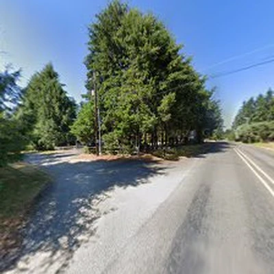 Shook's Tree Service and Removal LLC