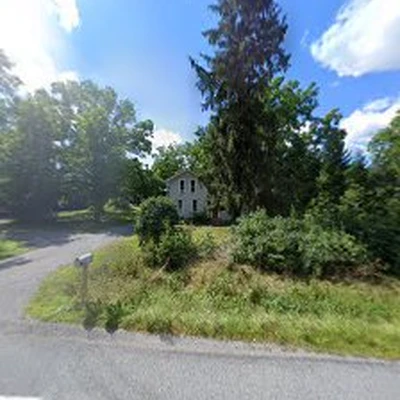 585Tree
