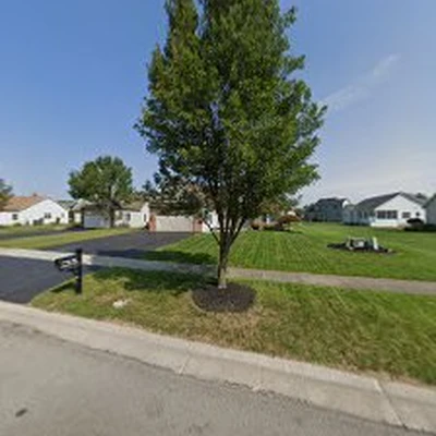 Pro Tree Services