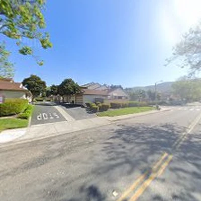 Jorge Salinas Tree Service