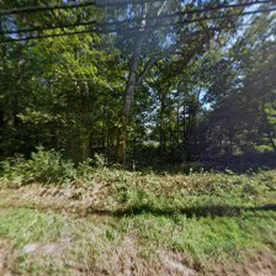 Green Valley Tree LLC