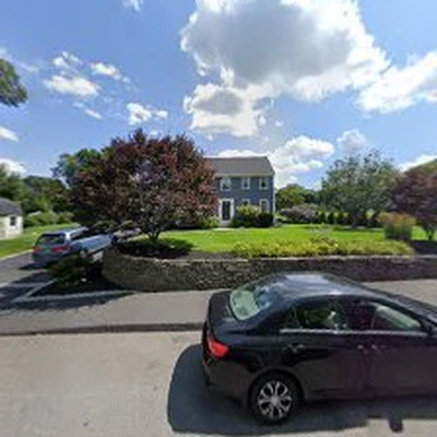 S1 Tree Services