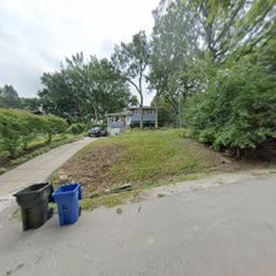 White Maple Tree Service Inc