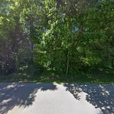 Low Cost Tree Service