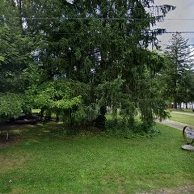 Raelynns Tree Service