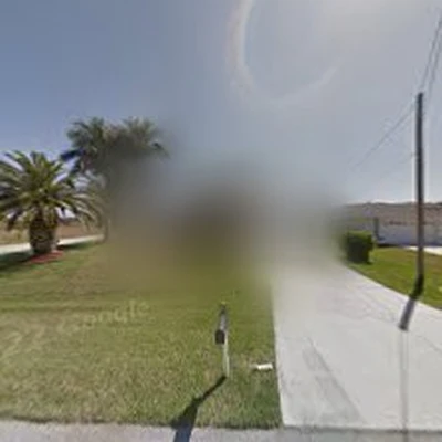 Loggerhead Palm & Tree Service