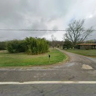 Tree Care Company