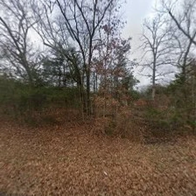 MID TN CES, LLC