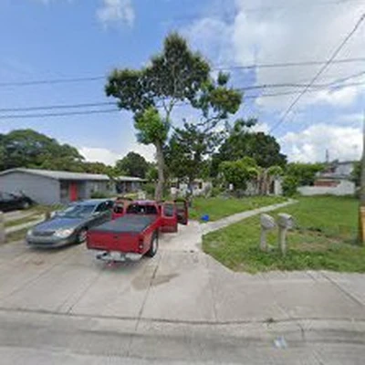sunny florida tree trimming service