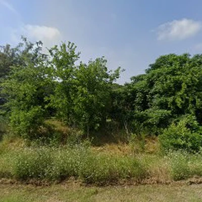 Tree Dimensional - Tree Surveys and Assessments