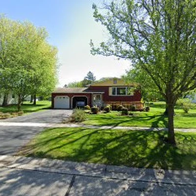 Rosendale Tree Service