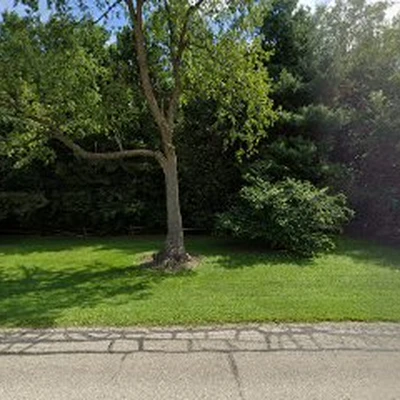 Allen Tree Service Inc