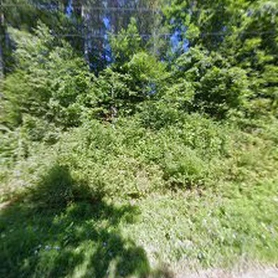 P&P Landscaping and Property Management