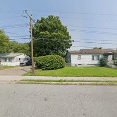Alexander Tree Service