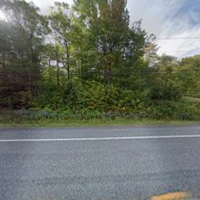 Black Diamond Tree Service, Inc