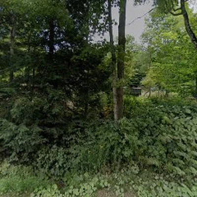 Vermont Tree Co. LLC