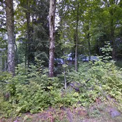 Alexander Tree Service